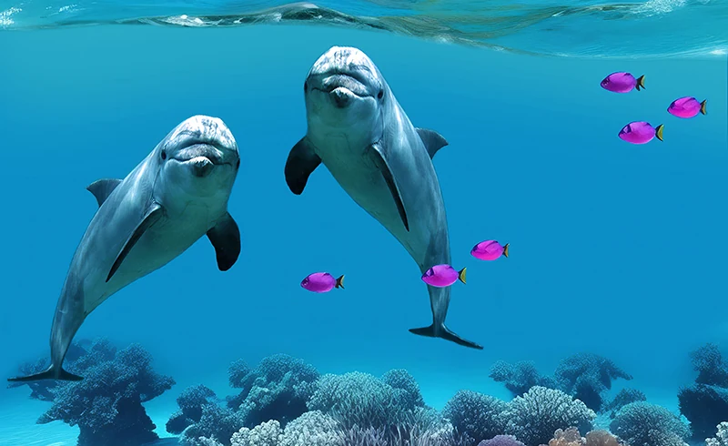 能登岛水族馆
