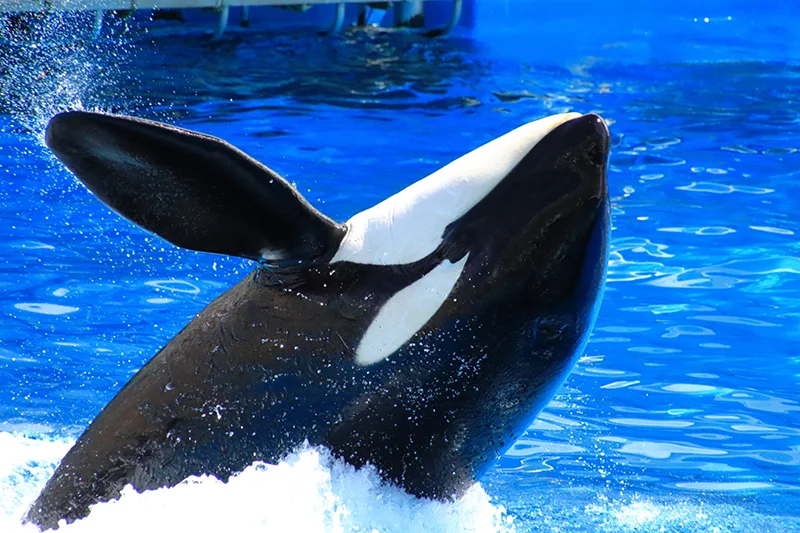 名古屋港水族馆
