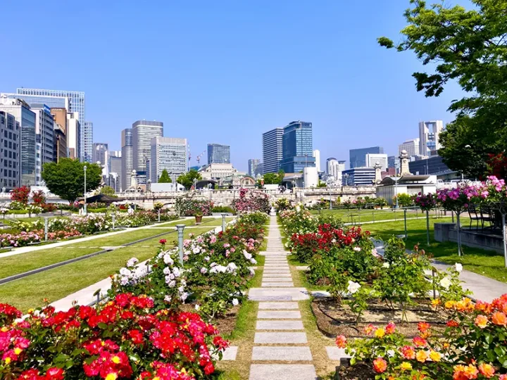中之岛公园